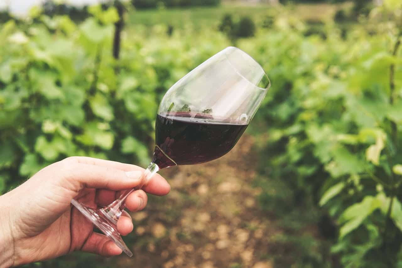 Blockchain de vinhos gaúchos é apresentada no South Summit Brazil
