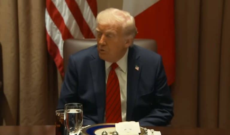 Trump busca apoio tarifário entre UE e EUA (Imagem: Youtube)