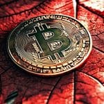 Bitcoin sobre folha vermelha. Fonte: Midjourney.