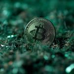Moeda de Bitcoin sobre grama verde, simbolizando alta. Fonte: Midjourney.