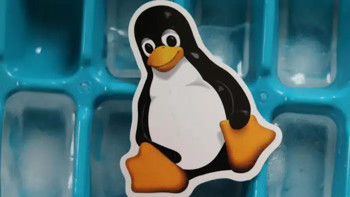 Imagem símbolo do Linux