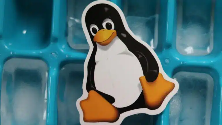 Imagem símbolo do Linux
