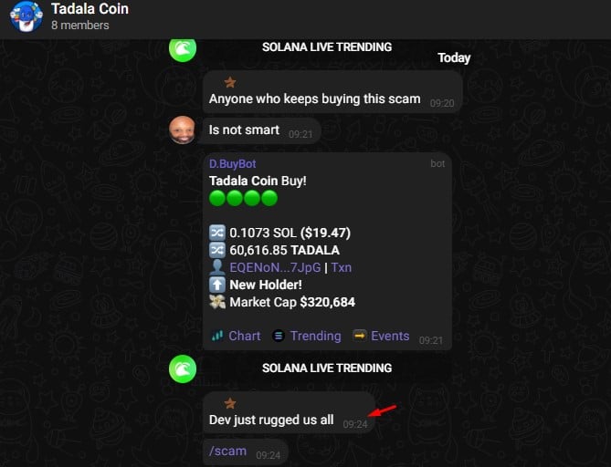 Investidor diz em grupo do Telegram que o dev da Tadala Coin aplicou golpe nos investidores