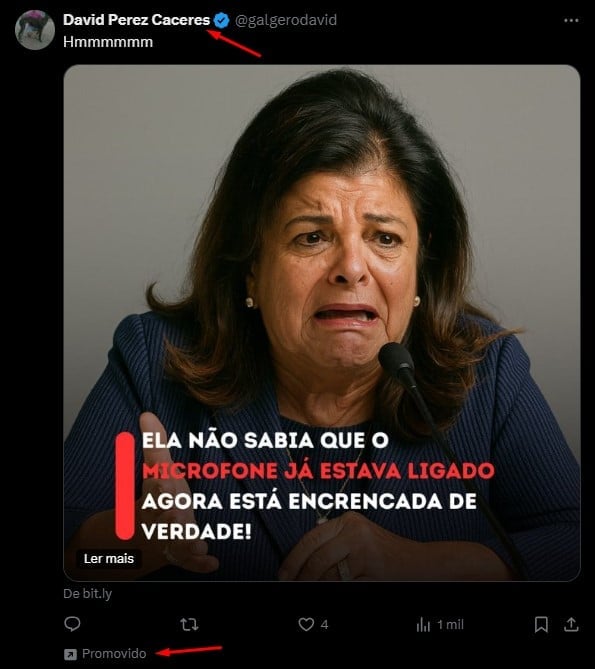 Falso perfil utilizando imagem de milionária brasileira para aplicar golpes com criptomoedas