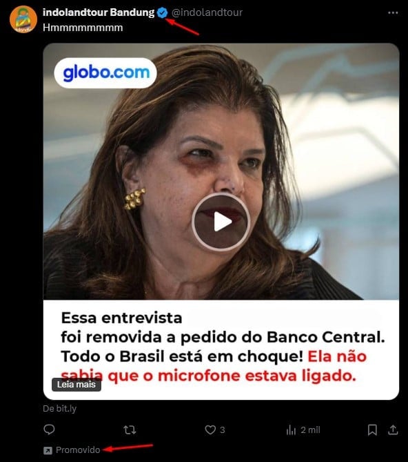 Link promovido no X mostra imagem da fundadora do Magazine Luiza e cita suposta entrevista dela CEO