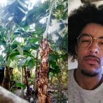 Brasileiro Floresta Bitcoin
