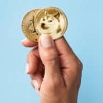 trader Dogecoin perdeu tudo