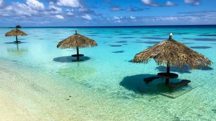 Zanzibar Tether adoção de criptomoedas