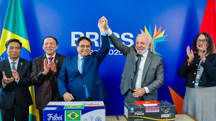 Brasil Vietnã e blockchain