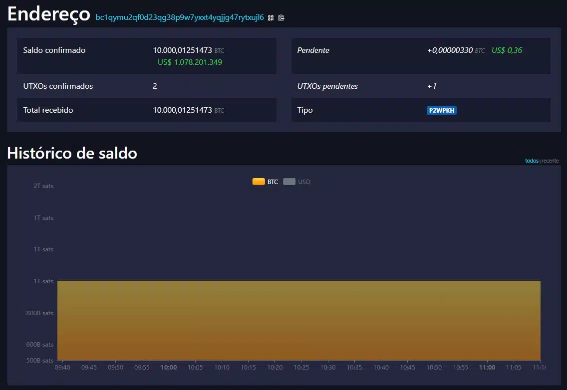 Novas carteiras mantém saldo parado, ainda divididos em lotes de 10.000 bitcoins. Fonte: Mempool.space.