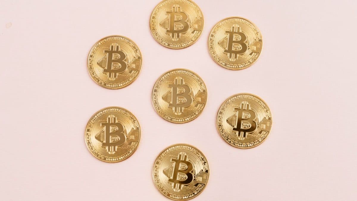Moedas do bitcoin em círculo lucram investidores