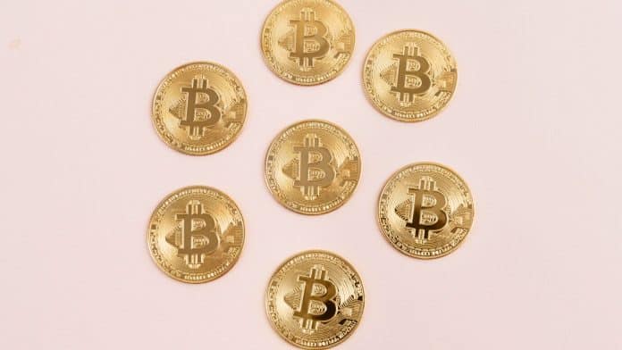Moedas do bitcoin em círculo lucram investidores
