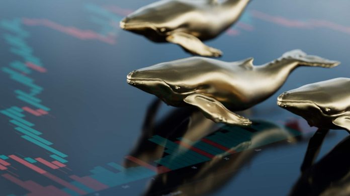 Baleia de Bitcoin