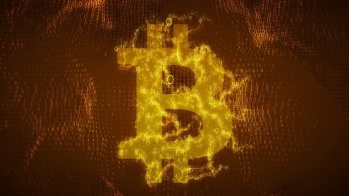 Bitcoin reserva imagem token