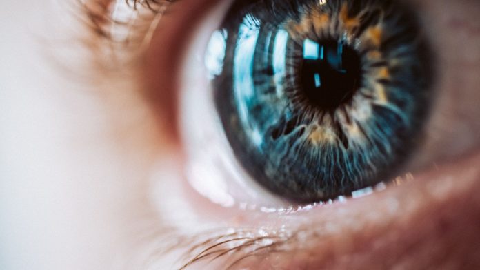 Olho em destaque CPI da Íris em São Paulo Worldcoin