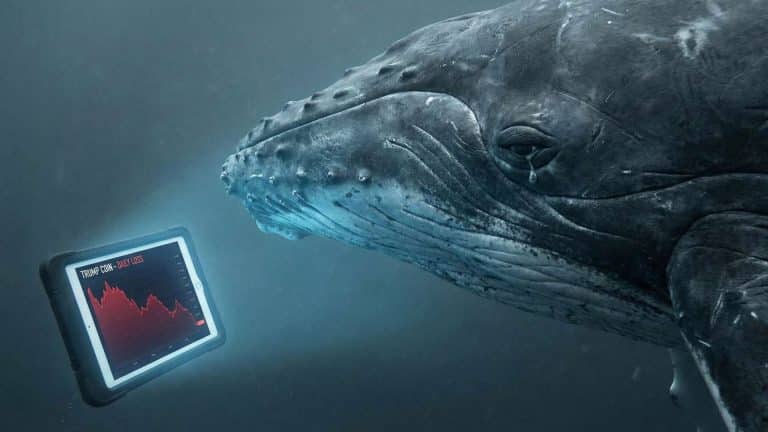 Baleia chorando ao ver gráfico de memecoin TRUMP