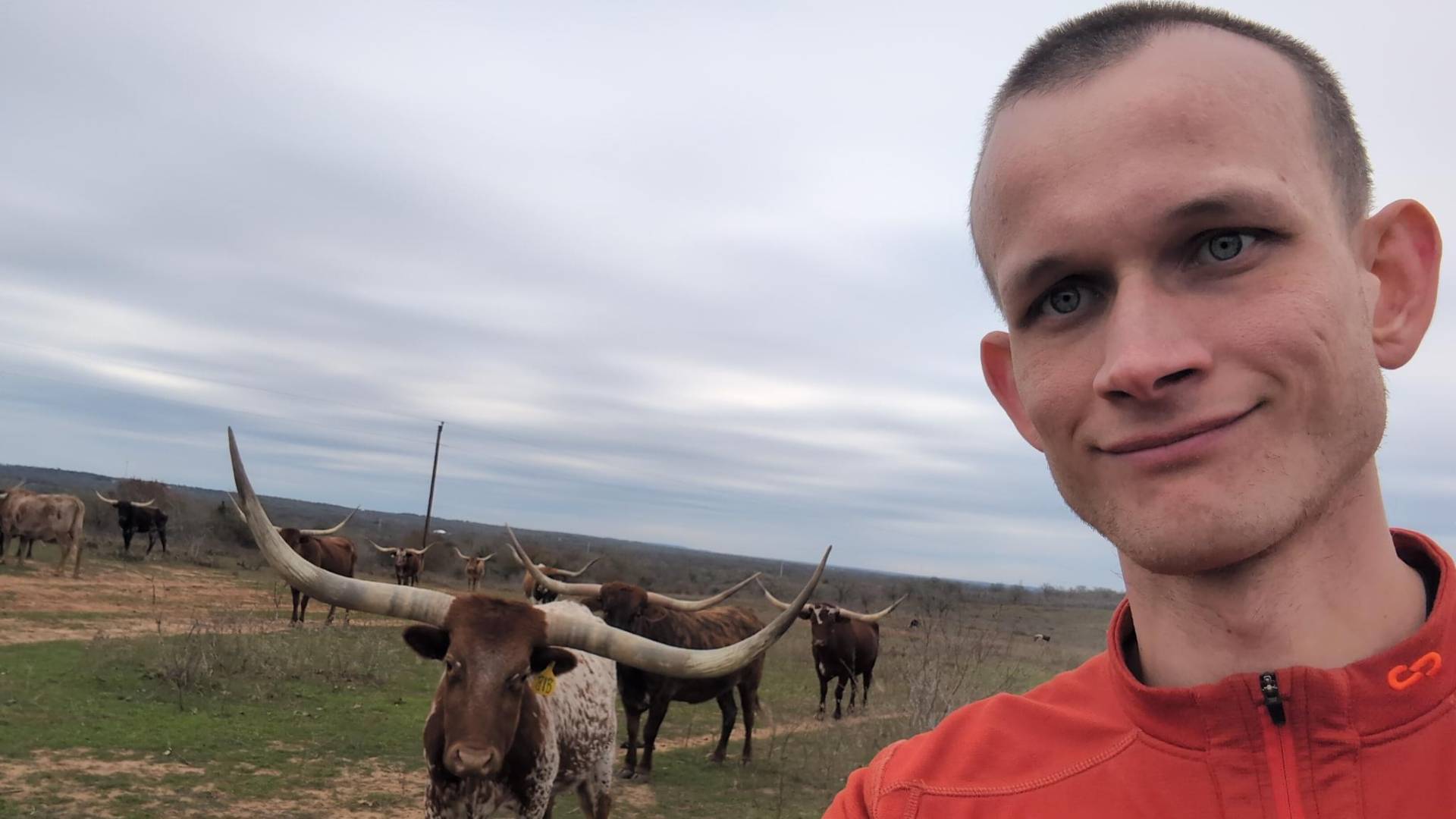 Vitalik Buterin tira foto ao lado de touro retomar confiança Ethereum Vitalik