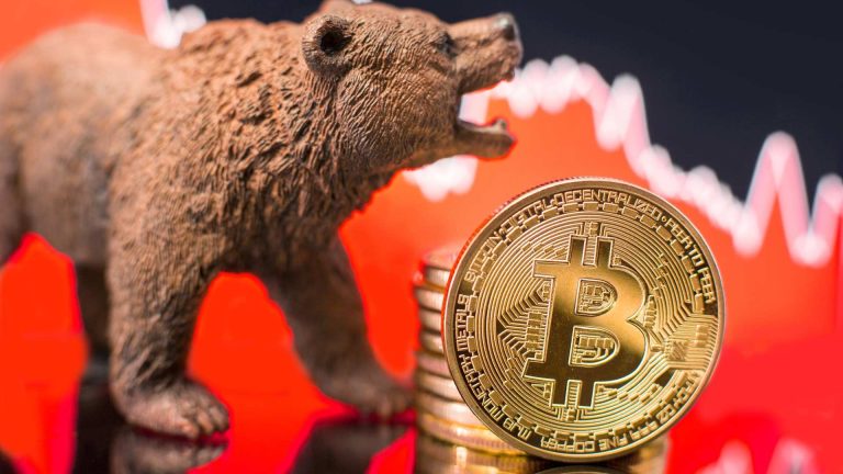 Urso próximo de gráfico de preços em queda do bitcoin
