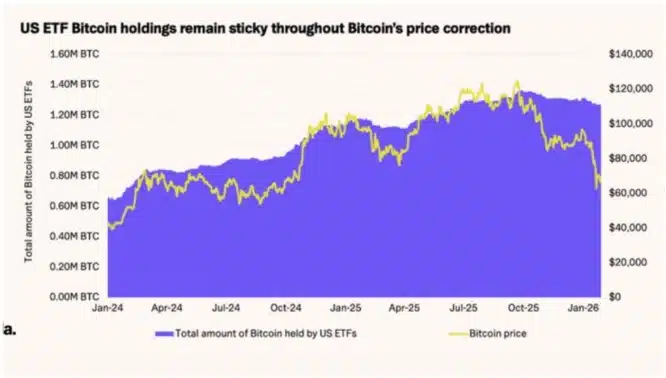 Acumulação de Bitcoin por ETFs durante queda 21 shares