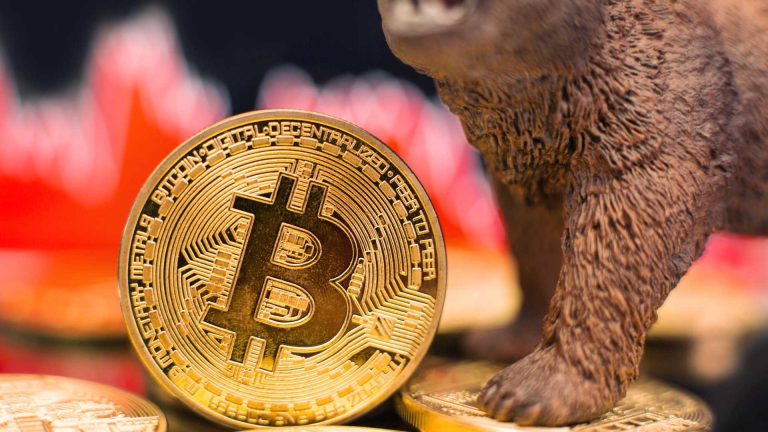 Bitcoin em destaque com urso ao fundo