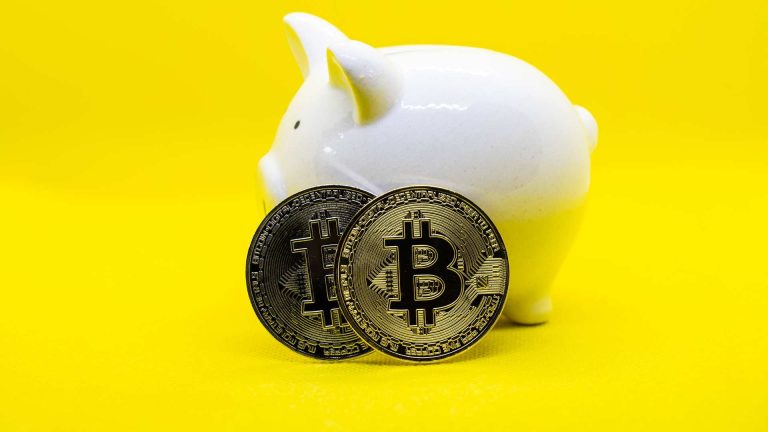 Porco com fundo amarelo e bitcoins simbólicos ao lado