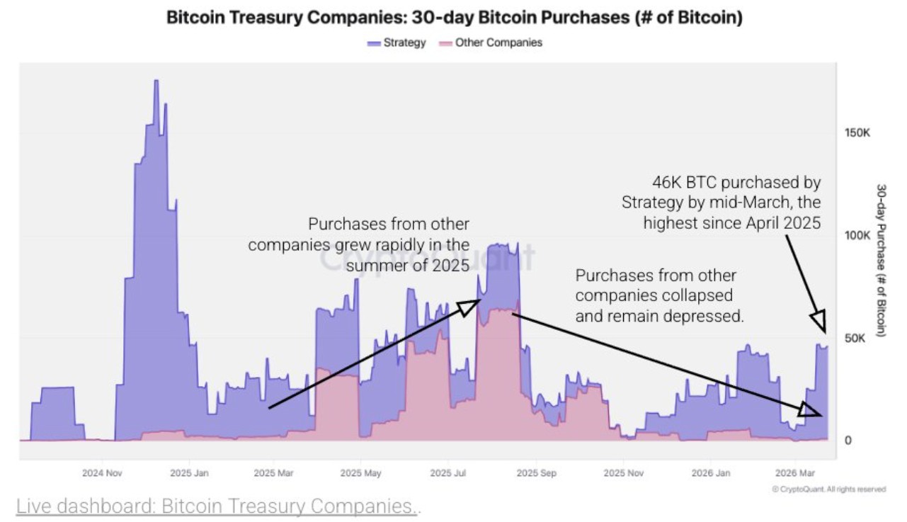 Pico de compras de Bitcoin por outras empresas aconteceu no 3º trimestre de 2025, mas hoje a Strategy é a única que segue fazendo grandes aportes. Fonte: CryptoQuant/Reprodução.