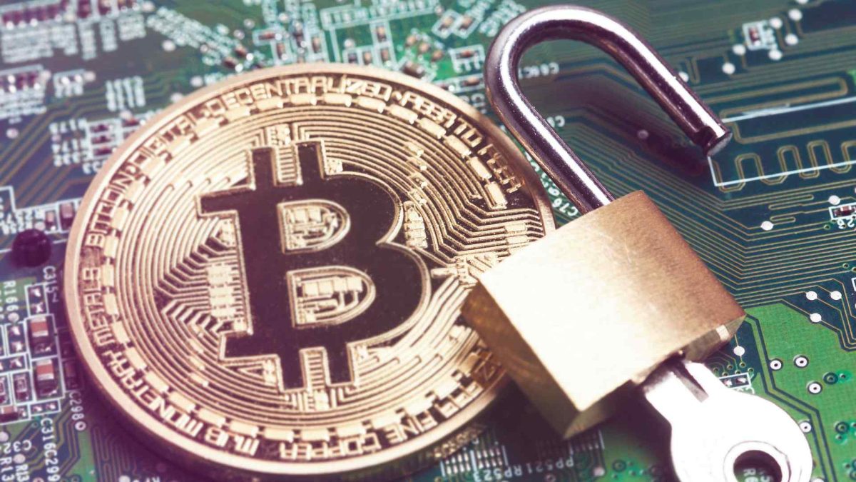 Cadeado destrancado Justiça manda soltar investidor de criptomoedas que matou amigo com mata leão e jogou corpo em cisterna