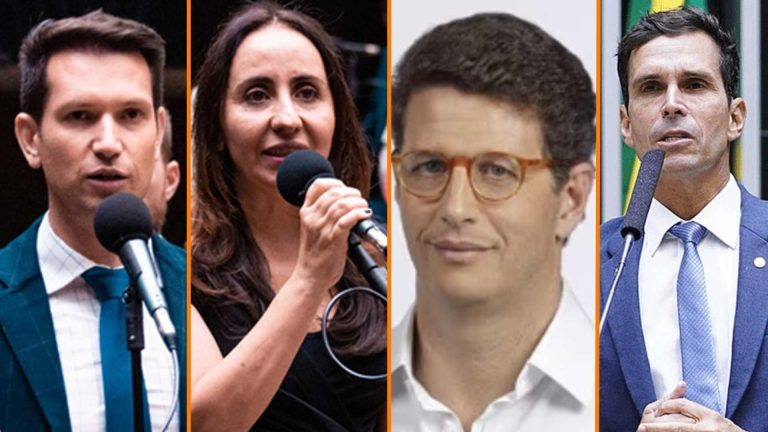 Deputados do Partido NOVO no Congresso Nacional