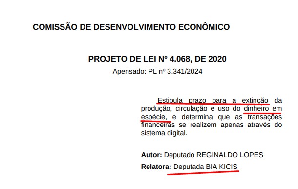 Relatora em Comissão quer acabar com projeto de lei que prevê fim do dinheiro em espécie
