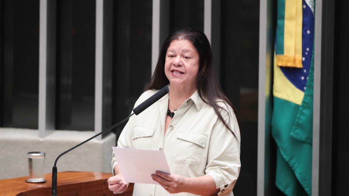 Deputada Laura Carneiro em sessão Projeto de lei exige responsável técnico para propagandas comerciais de criptomoedas no Brasil