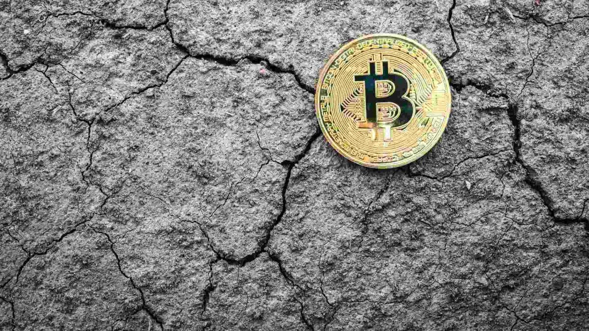 Terremoto com bitcoin em destaque Terremotos e ajuda humanitária: onde blockchain e Bitcoin podem fazer a diferença