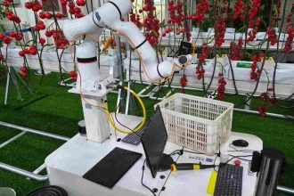 Embrapa e instituições chinesas firmam parceria para fortalecer IA voltada à agricultura familiar