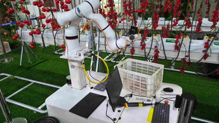 Embrapa e instituições chinesas firmam parceria para fortalecer IA voltada à agricultura familiar